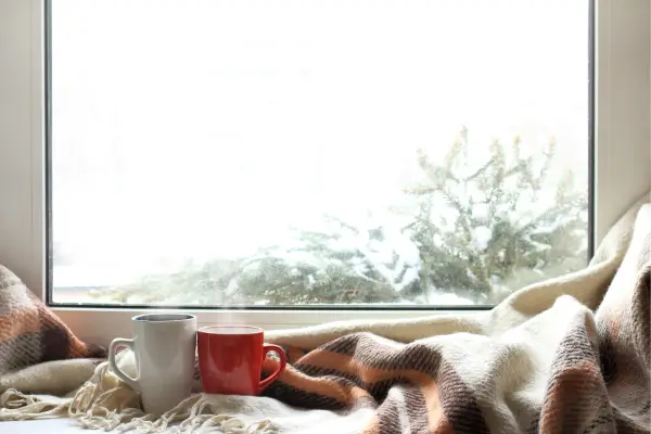 Inverno Chegando? Veja Como Aquecer sua Casa sem Gastar Muito