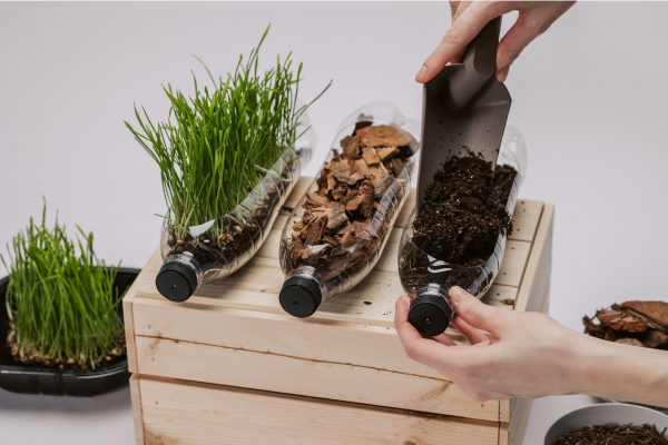 Decoração Sustentável: Beleza com Consciência Ambiental